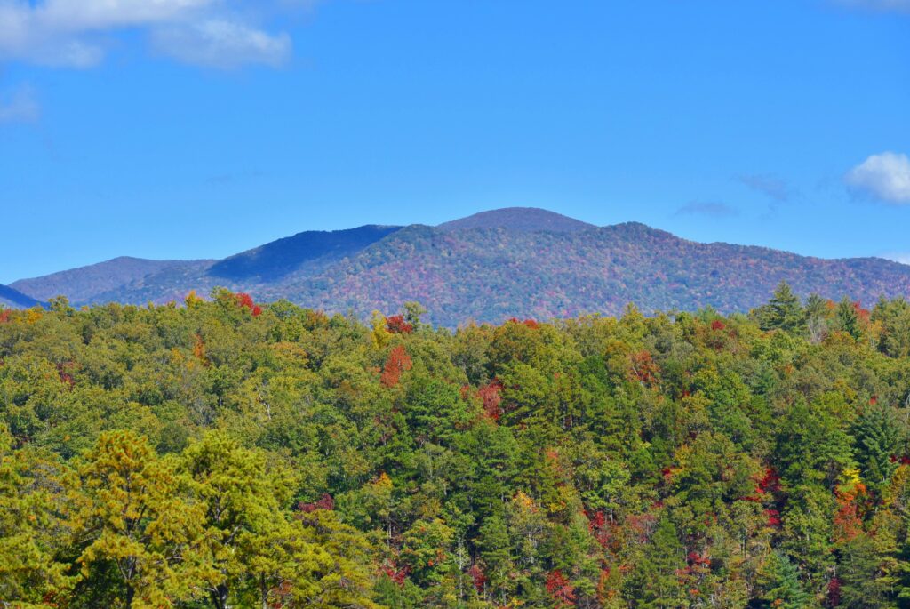 A vibrant autumn scene showcasing colorful foliage and mountains in Gatlinburg, TN.